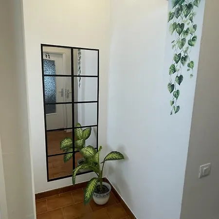 Calma Appartamento Modena